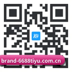 iPhone 专版 二维码